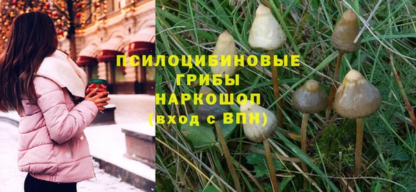 прущие грибы Алексеевка