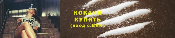 трава Арсеньев