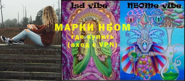PSILOCYBIN Алзамай