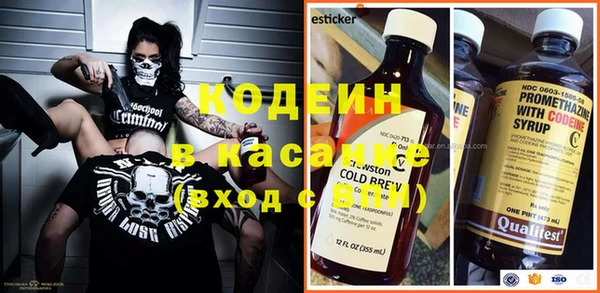 PSILOCYBIN Алзамай