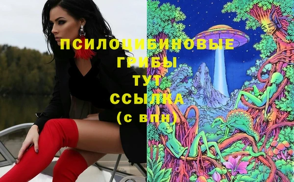 mix Алексин