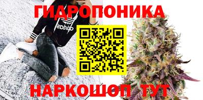 спиды Кимры
