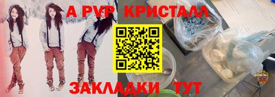 спиды Кимры