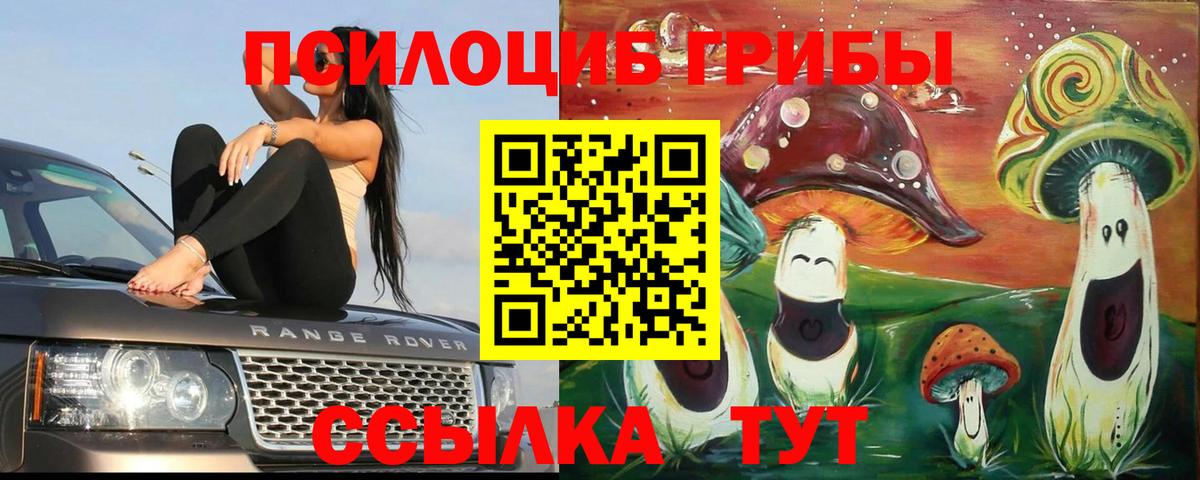 Туймазы  Галлюциногенные грибы Cubensis  Галлюциногенные грибы Psilocybine cubensis  Вход с VPN 